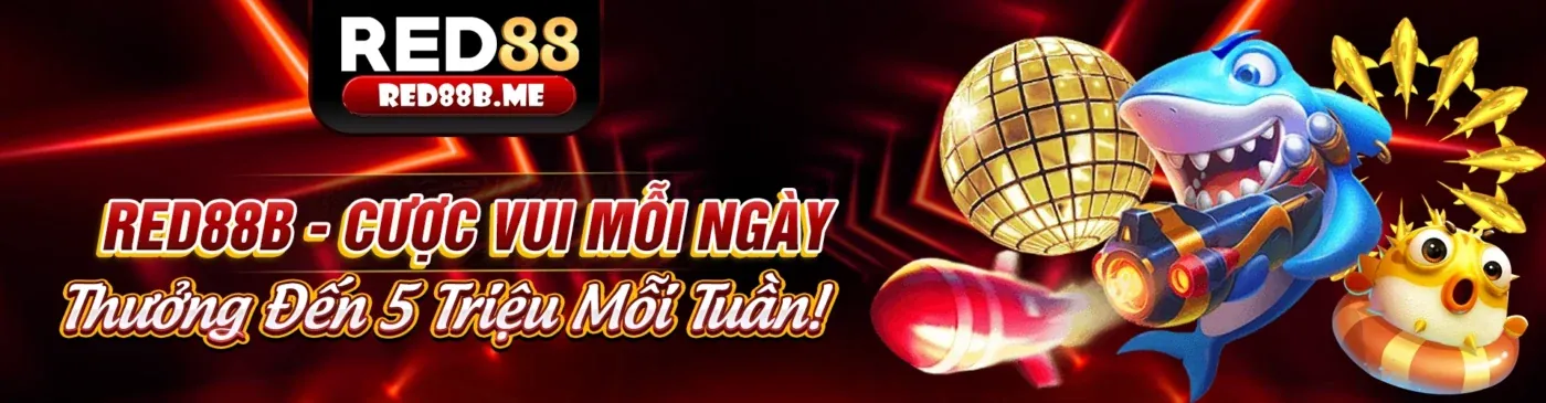 Minh họa các loại cookie khác nhau được sử dụng bởi xx88 chính thức